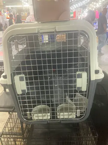 Pet Air Carrier