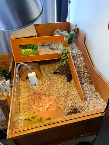Wooden Tortoise Table with Heat Lamp and Accessories