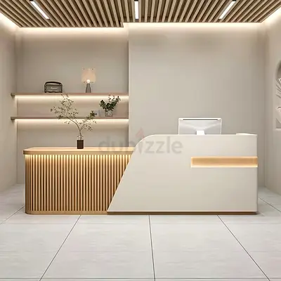 Modern Minimalist Reception