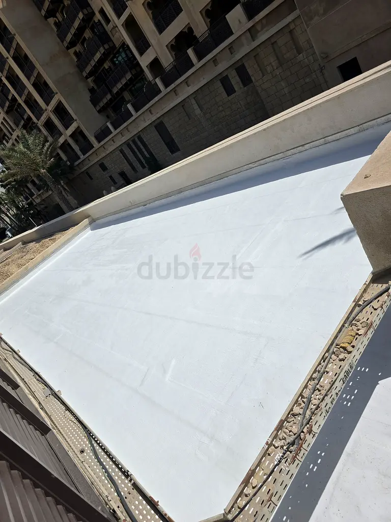 DPV_View_Image_0
