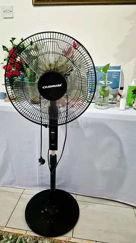 Stand fan electric fan