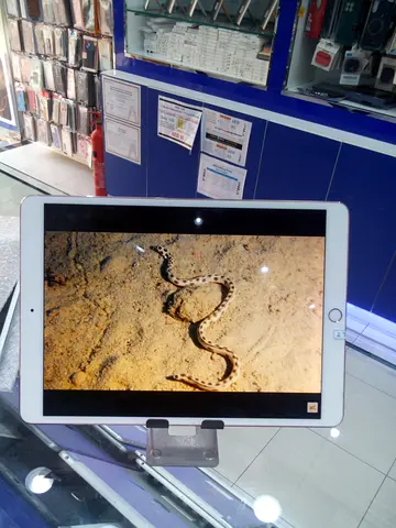 Ipad Pro