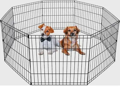 Dog cage