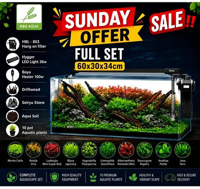 Full set aquarium