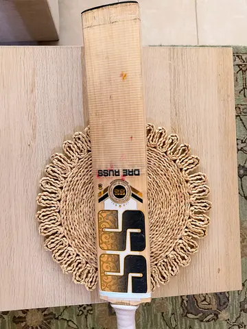 English willow cricket bat