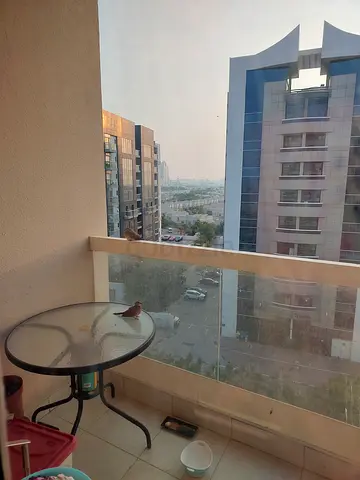 Outdoor table only