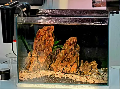 Small freshwater aquarium tank with filter, rocks and substrate, aquascaped