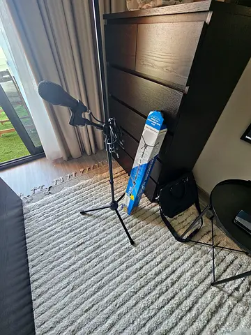 mic and stand