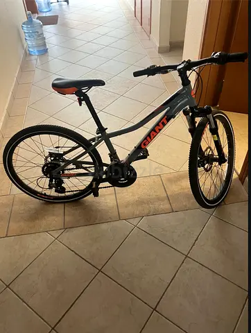 Giant Mountain Bike for Sale