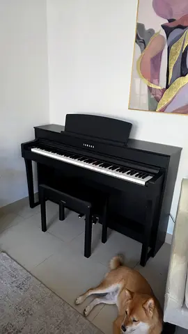 Yamaha Piano in Perfect Condition
