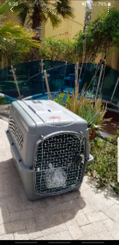 Dogs carriers for air travel