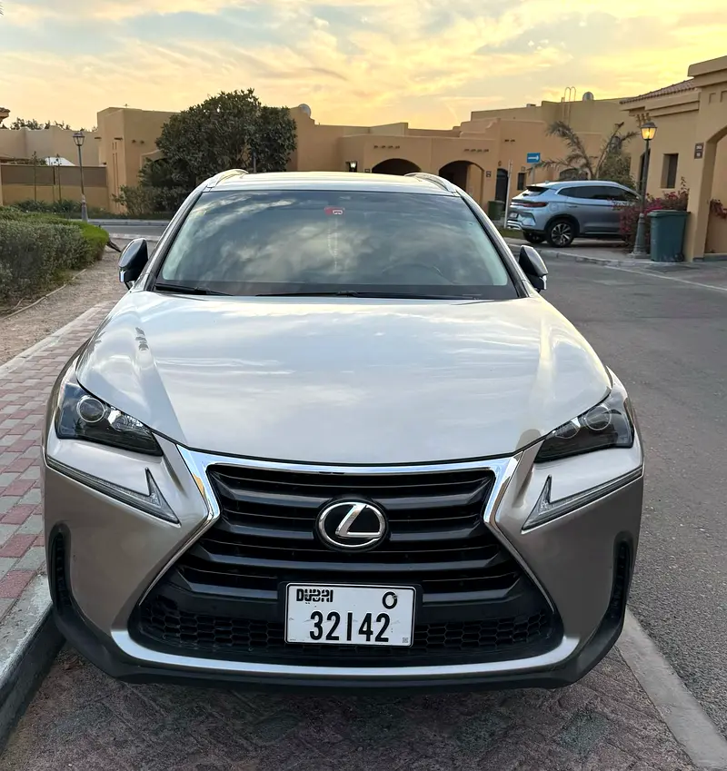 Lexus NX-Series 2017 — photo 1 of 14