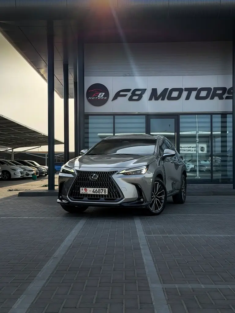 Lexus NX-Series 2022 — photo 1 of 17