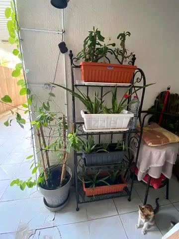 Iron plant stand with multiple planter boxes — good condition