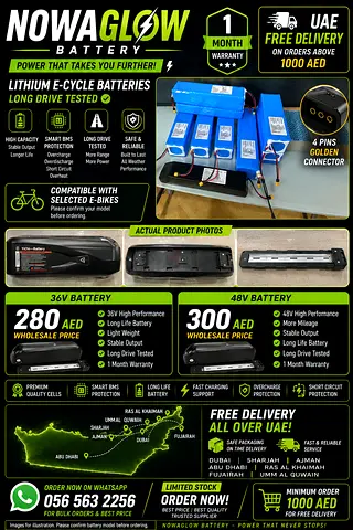 48v ecycle Battery