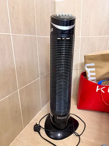 Fan