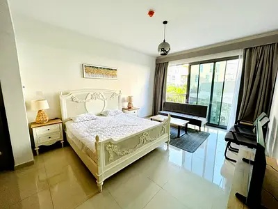 Spacious furnished studio in gated community with pool parking