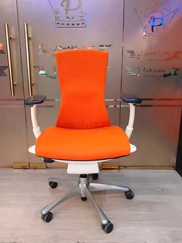 Selling Herman Miller Embody Chair Fully Loaded Posture Fitt