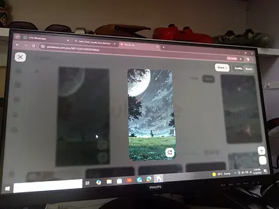 Philips gaming  monitor