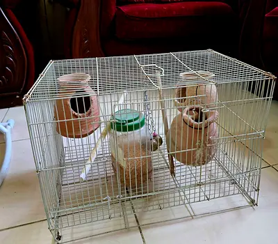 Small metal bird cage with clay nesting pots and feeder - good used condition