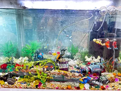 Fish Aquarium with all item items