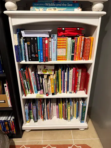 Pottery Barn Kids Catalina book shelves set of 2