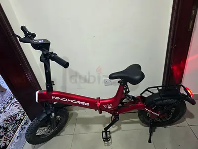 Electric Windhorse bike