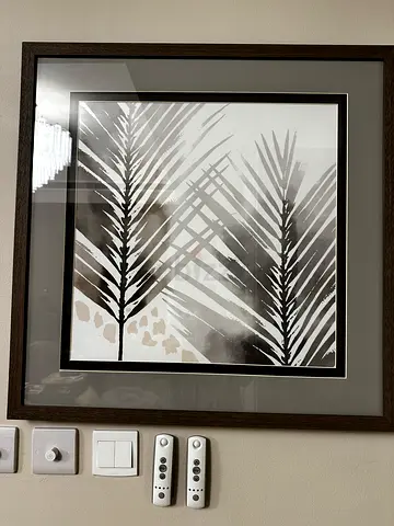 Fern picture