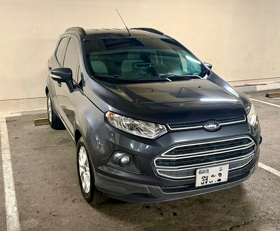 Ford Ecosport 2016 — photo 1 of 15