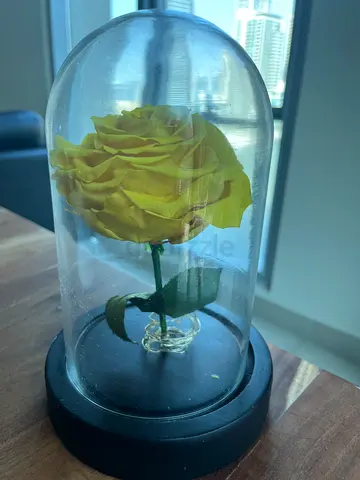 Forever Rose in Glass Dome
