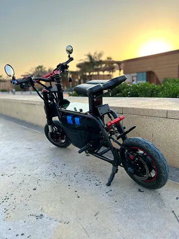 Fiido 60v, 1500 motor