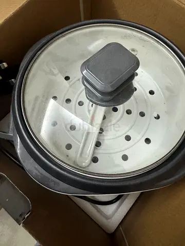 Multi-functional Electric Food Steamer and Cooker (rice cooker)