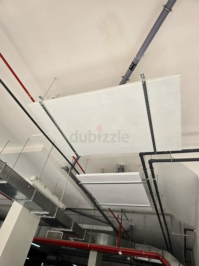DPV_View_Image_2