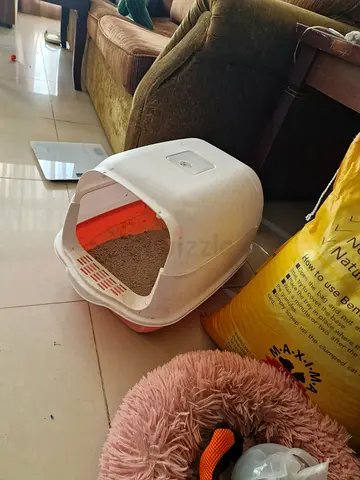 Cat accessories - Cat Supplies – Everything You Need (Free or Small Donation) 🐱