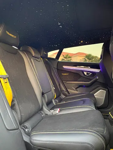 2019 Lamborghini URUS 缩略图 8