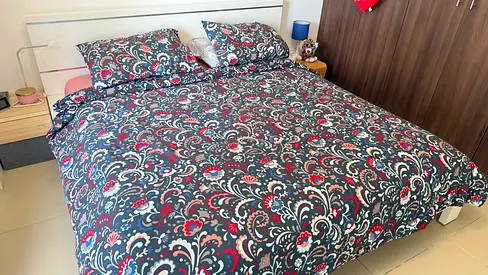 White Modern Minimalist Bed Frame