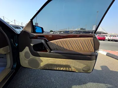 1996 Mercedes-BENZ S-CLASS 缩略图 15