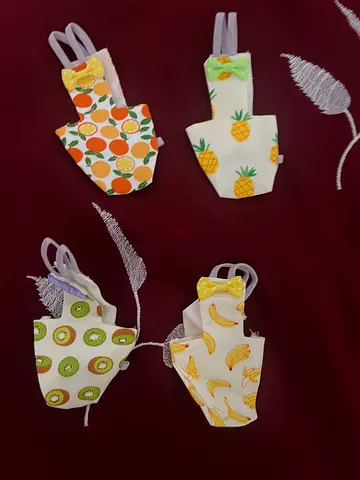 Bird diapers