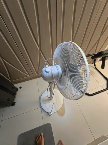 Standing fan