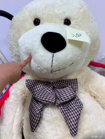 Hallmark giant teddy bear