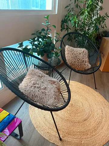 Pair of black rattan-style accent chairs with cushions, table, carpet and decoration plant