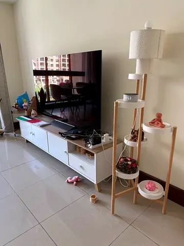 LG OLED TV 65 + wall mount