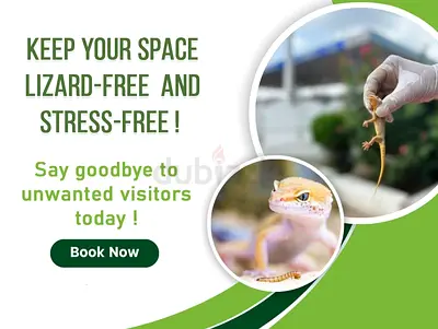 keep your space lizard-free and stress-free!  With your trusted partner in making your home lizard