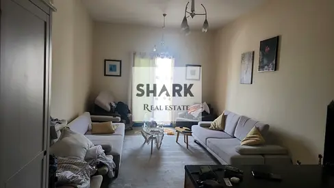 High-Yield Investment! Studio For Sale in Al Nuaimia Towers (Tower C). City View, Rented for AED 22K | Asking Price: AED 250K.
