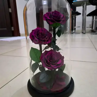 Glass Dome with Preserved Purple Roses (Decor)