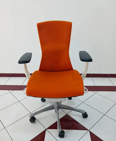 For Sale Ergonomic Embody Orange  Chair with Adjustable Armrests Fully Loaded
