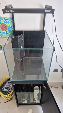 Aqua One MiniReef 90L Marine Aquarium – Complete Setup