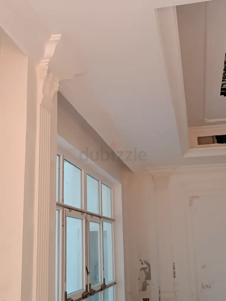 DPV_View_Image_3
