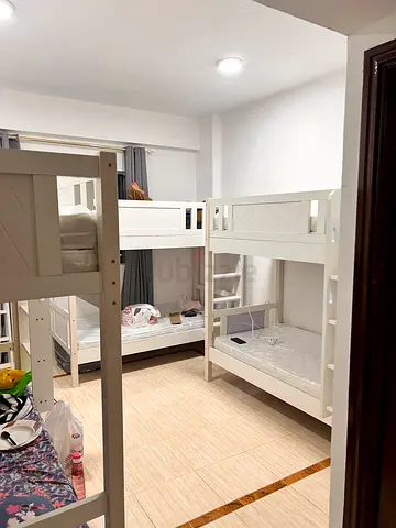 🛏️ Wooden White Bunk Bed Space Available | Al Barsha 1 | Near Insurance Market Metro