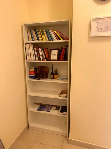 Ikea BILLY-style white bookshelf (6 months)